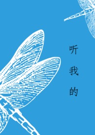 听我的话小说免费阅读